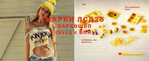 шишки Абинск