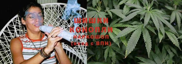 шишки Абинск